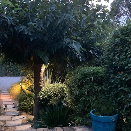 La Vagabonde Saint-Tropez